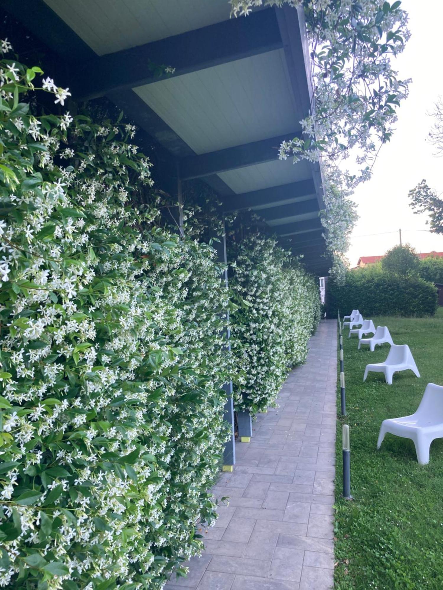 Mxp Rooms Guest House Cardano al Campo Kültér fotó